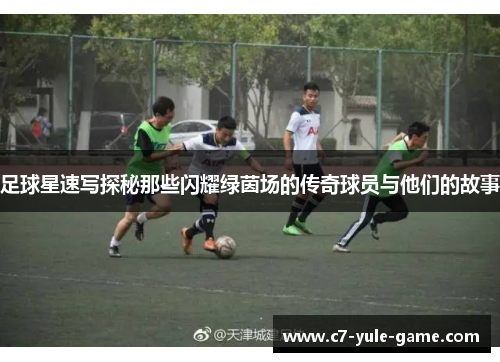 足球星速写探秘那些闪耀绿茵场的传奇球员与他们的故事